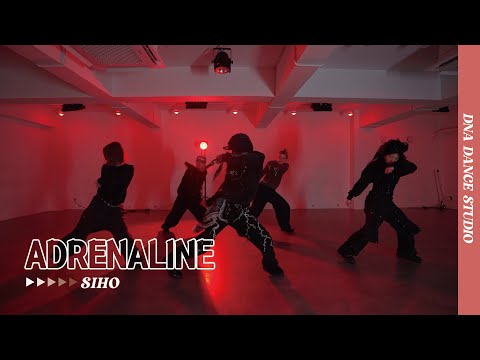 SIHO 릴 25
