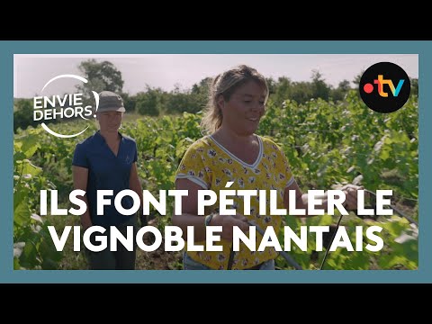 [Envie dehors] Ils font pétiller le vignoble nantais - extrait