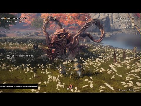 Wild Hearts Golden Tempest