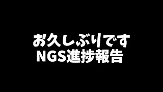 【PSO2:NGS】お久しぶりです