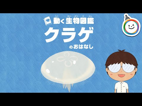 クラゲはどのような呼吸をしているのでしょうか?