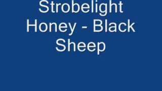 Strobelight Honey - Black Sheep