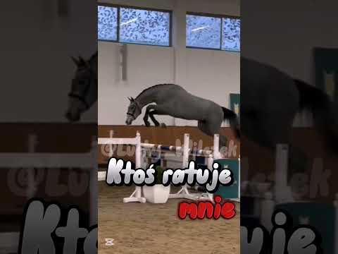 Serce z kamienia   #showjumping #horses #horse #kon #konie #edit #music #foryou