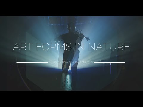 Leoncarlo: Upcoming Album Art Forms in Nature