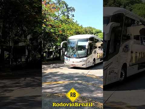 Águas de Lindóia para São Paulo - terminal do tietê #short #rodoviabrazil #viagem #tiete #saopaulo