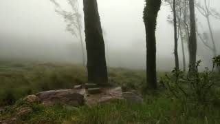 preview picture of video 'Himavad Gopalaswamy Hills'