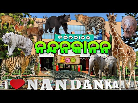 Nandankanan Zoological Park - 2nd Largest Zoo in India | Bhubaneswar #nandankanan #PrabhatTravelVlog
