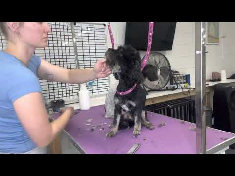 Double Trouble w/ Alley + Bettsi