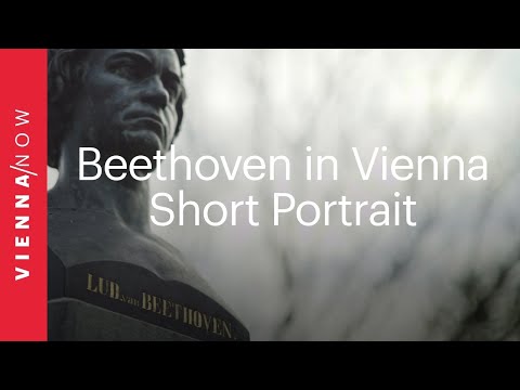 Beethoven in Wien  I Kurzporträt