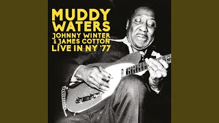 The Blues Had A Baby And They Named It Rock 'N' Roll (Live)