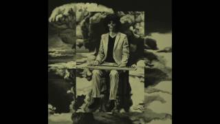 Shintaro Sakamoto - Gently Disappear