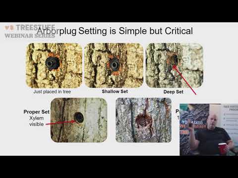 Combating the Spotted Lanternfly with Trent Dicks Webinar - TreeStuff