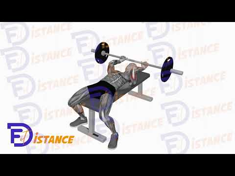 Exercice Barre au front à la barre (Skull crusher)