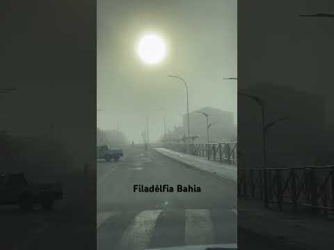 Dia de neblina em Filadélfia Bahia #bahia #filadelfiabahia #brasil