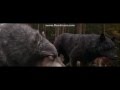 Twilight Werewolves Battle Cry Skillet