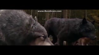 Twilight  Werewolves - Battle cry(Skillet)