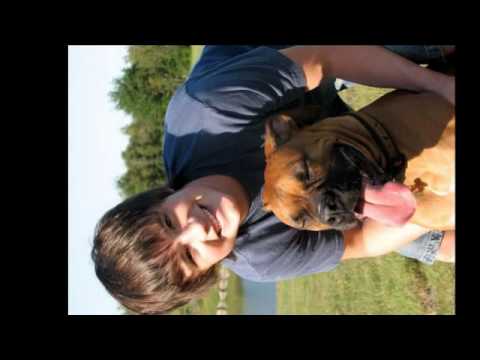 Bridge To Terabithia Soundtrack: The Skies Of America - Shine