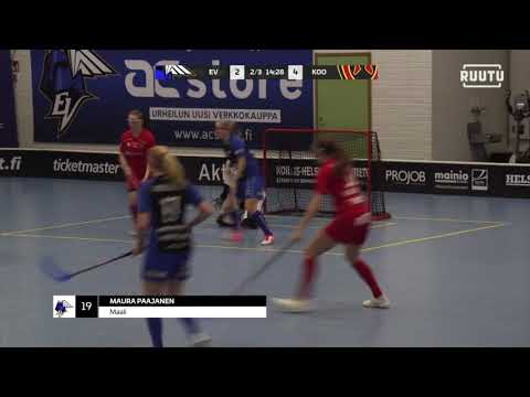 EräViikingit - Koovee 26.1.2020 maalikooste