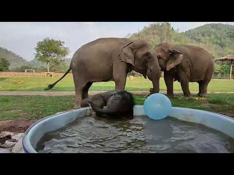 Pyi Mai is playing the water- EleFlix