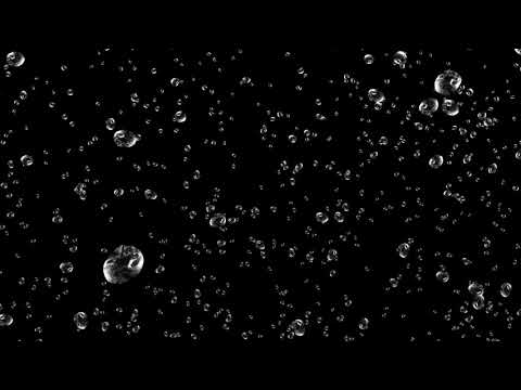 Einführungs-Video 3 - Schizophrenie F2 -  Intensiv Training HPP