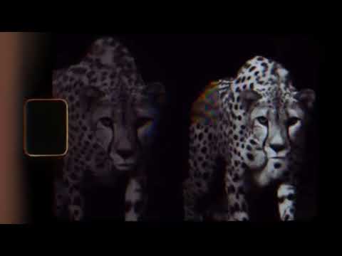 Michele Adamson & Eddie Bitar - Stronger Together