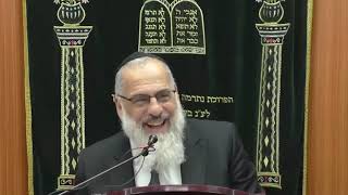 שידורי 'דר וסוחרת'הרב ליאור גלזר פ' לך לך תשפ"ב רב מקדים הרב אליהו רוסתמי והרב שמעון מועלם