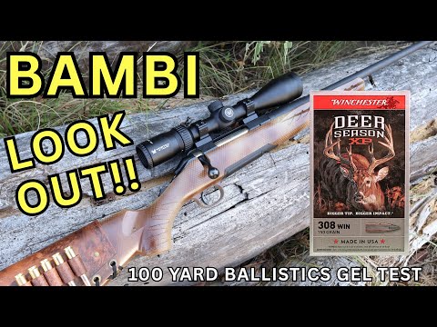 BAMBI EXPLODER?! 308 Winchester Deer Season XP Ballistics Gel Ammo Test