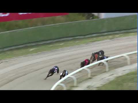 2020 SILVER SALVER - HEAT 6 - T3 COOLAVANNY DYLAN