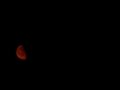 BLOOD RED MOON 2015 You won't believe what ...