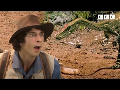 Mega Dino Marathon | Andy's Dinosaur Adventures | Andy's Amazing Adventures
