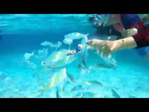 Redang Island Malaysia - 2015 Snorkeling