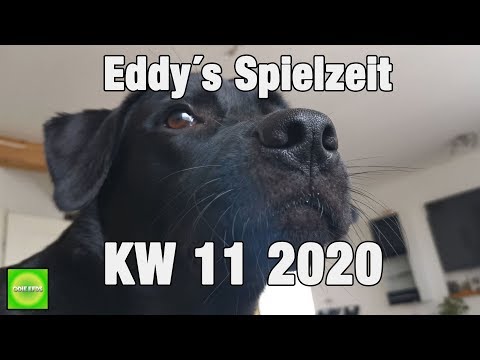 Vlog / KW 11 2020 / Eddy´s Spielzeit