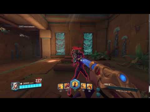 Paladins Lian bug