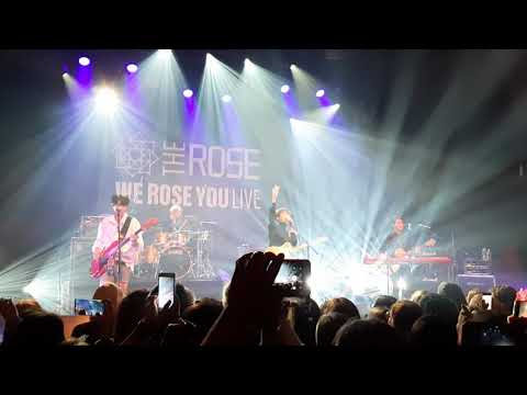 The Rose In Brussels - She's In The Rain (17112019)