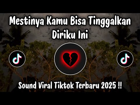 MESTINYA KAMU BISA TINGGALKAN DIRIKU INI - DJ TIKTOK TERBARU 2025