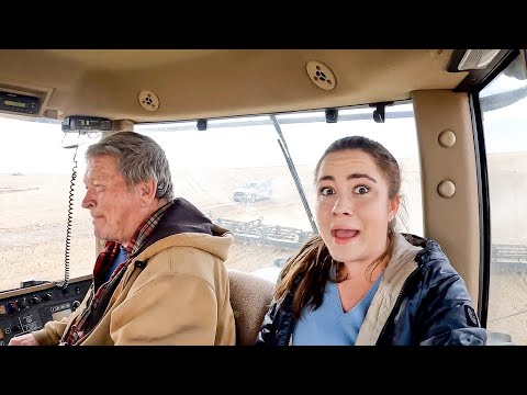 , title : 'A Harrowing Experience with Darcy!  Montana Farming'