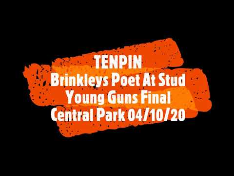 Tenpin Brinkleys Poet at Stud Young Guns Final Central Park