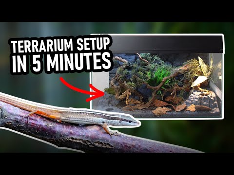 Terrarium setup in 5 minutes – Scape It Easy by Lucky Reptile