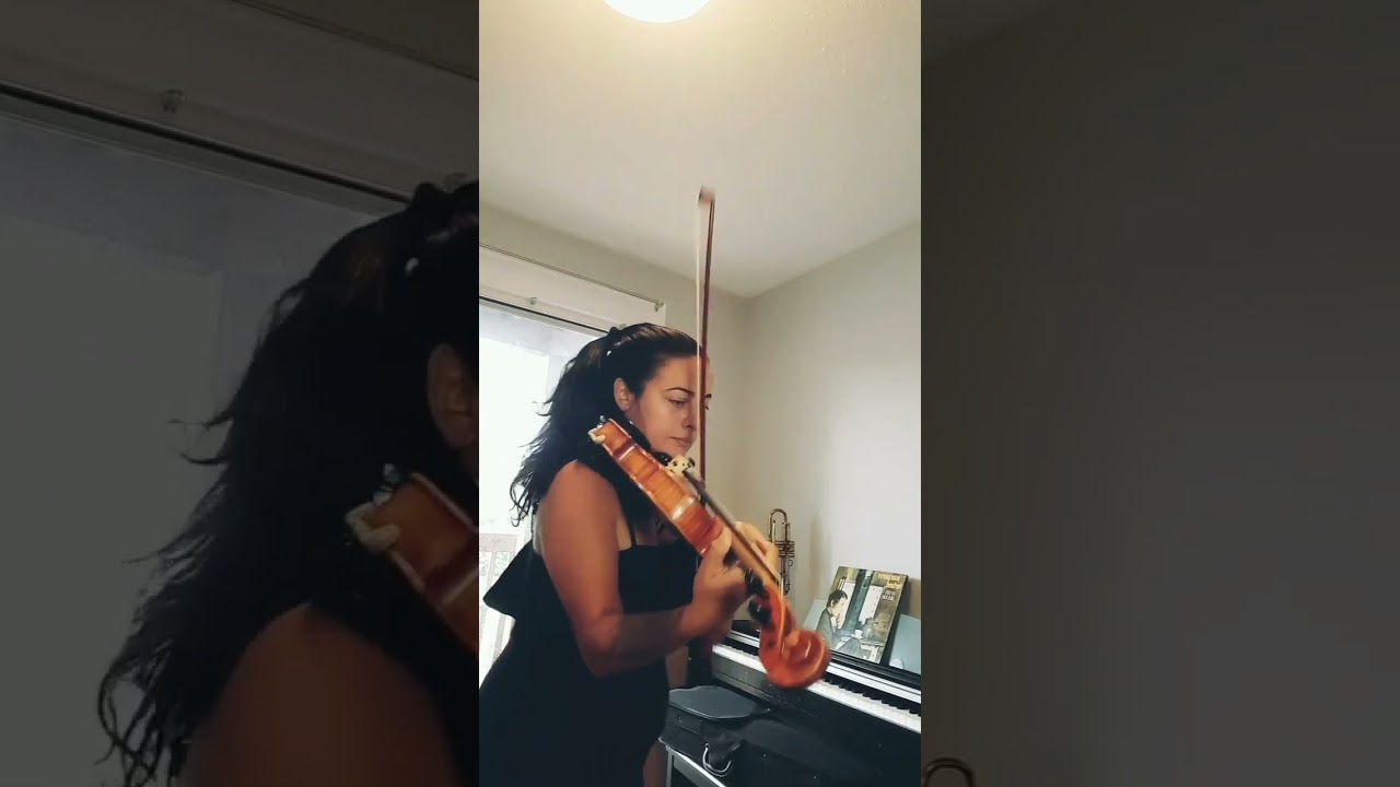 Promotional video thumbnail 2 for Solo Violinist