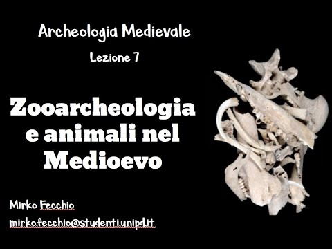 , title : 'LEZIONE 7 ARCHEOLOGIA MEDIEVALE (FECCHIO)  Archeozoologia e animali in età postclassica'