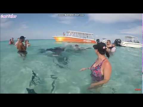 SUPER FUNNY MOMENTS & FAILS COMPILATION.