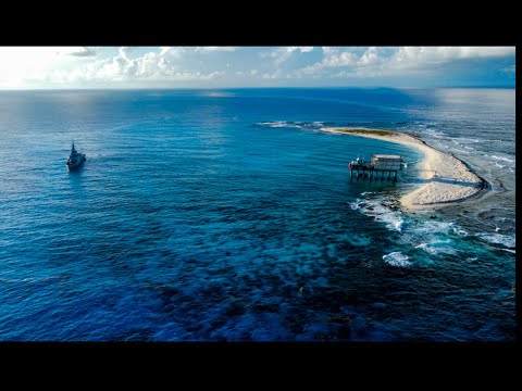 Isla de Aves Venezuela - Ponton Trips - Atravesando todo el caribe Venezolano