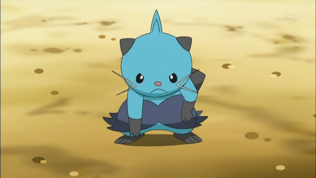 Dewott | Pokemon anime