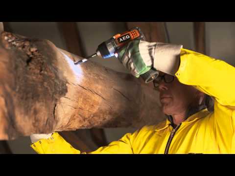 comment traiter les vers a bois