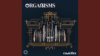 Florence Price / Calefax - Suite No.1 For Organ Iii: Air video