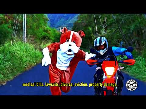 Balanced Obedience video.