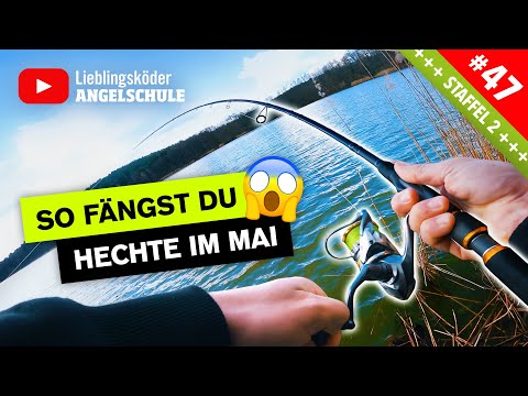 HECHTANGELN im Frühjahr - so fängst du vom UFER 🎣🔥👍🏼
