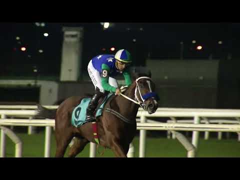 230528 c11 - SHINNY - HIPODROMO DE MAROÑAS