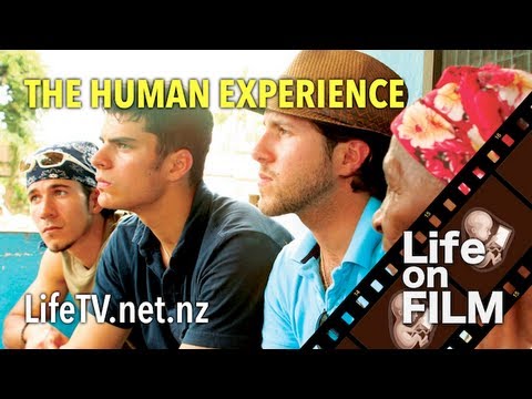 The Human Experience