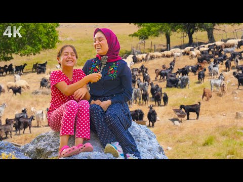 Bir Yörük Kızının Hayatı-Toroslar da Göçebe Kültürü| Belgesel-4K